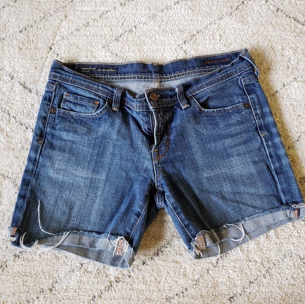Citizens Against Humanity Shorts